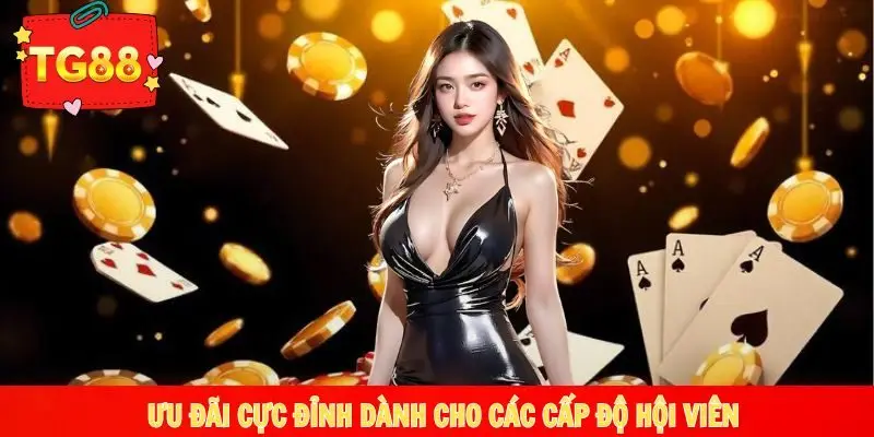 Những ưu đãi cực đỉnh dành cho các cấp độ hội viên